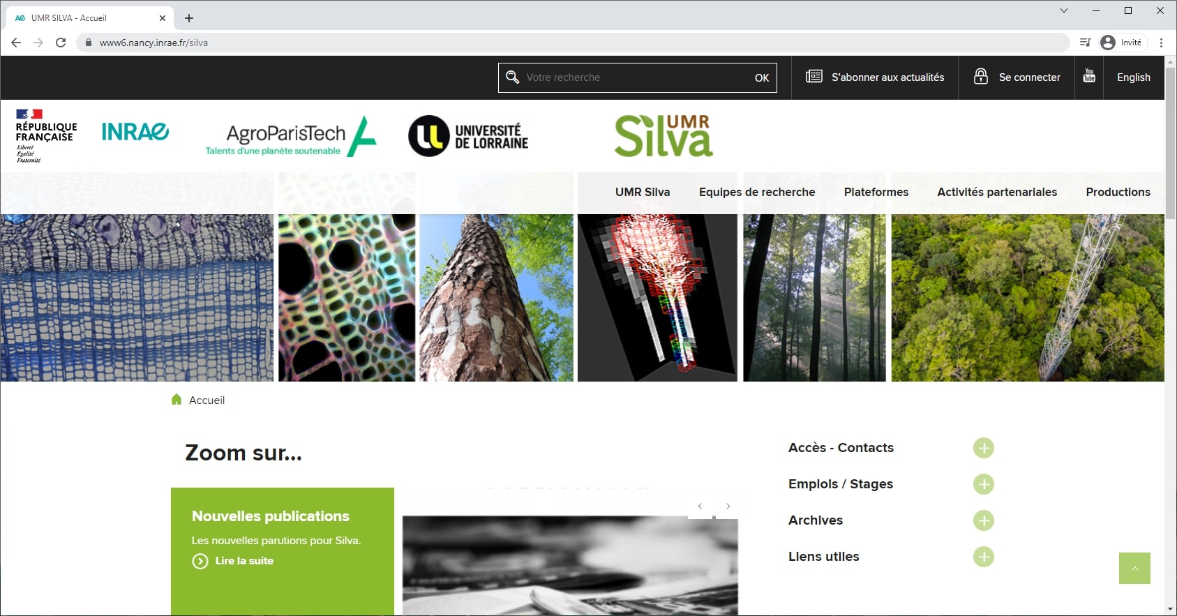 Interface web UMR Silva (INRAE - Université de Lorraine)